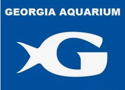 Georgia Aquarium 